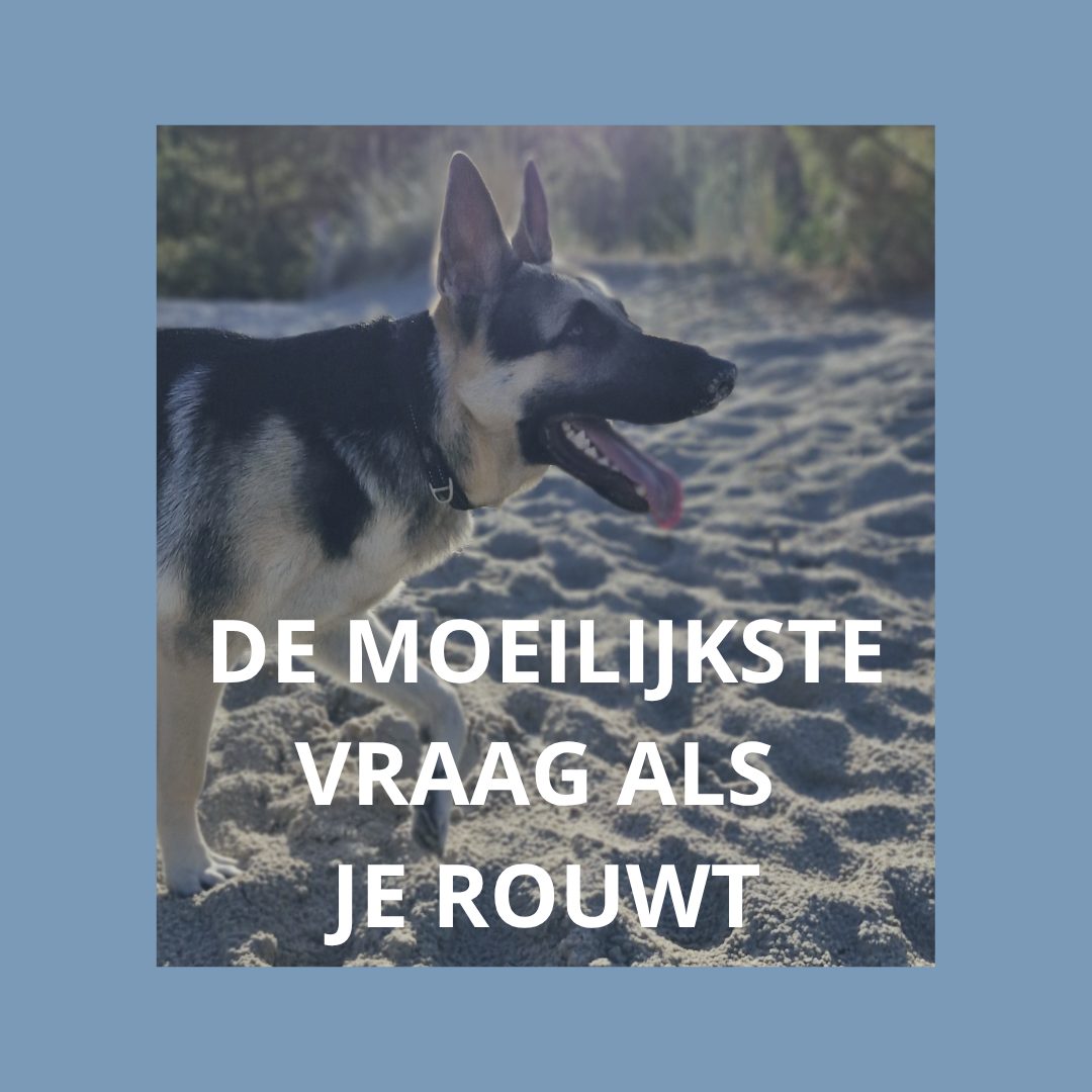 De moeilijkste vraag aan iemand die rouwt